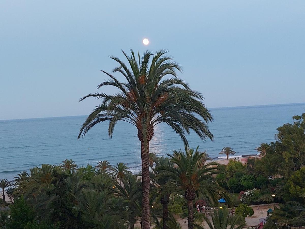 Barbara 20 Playa Muchavista Alicante El Campello Eksteriør billede